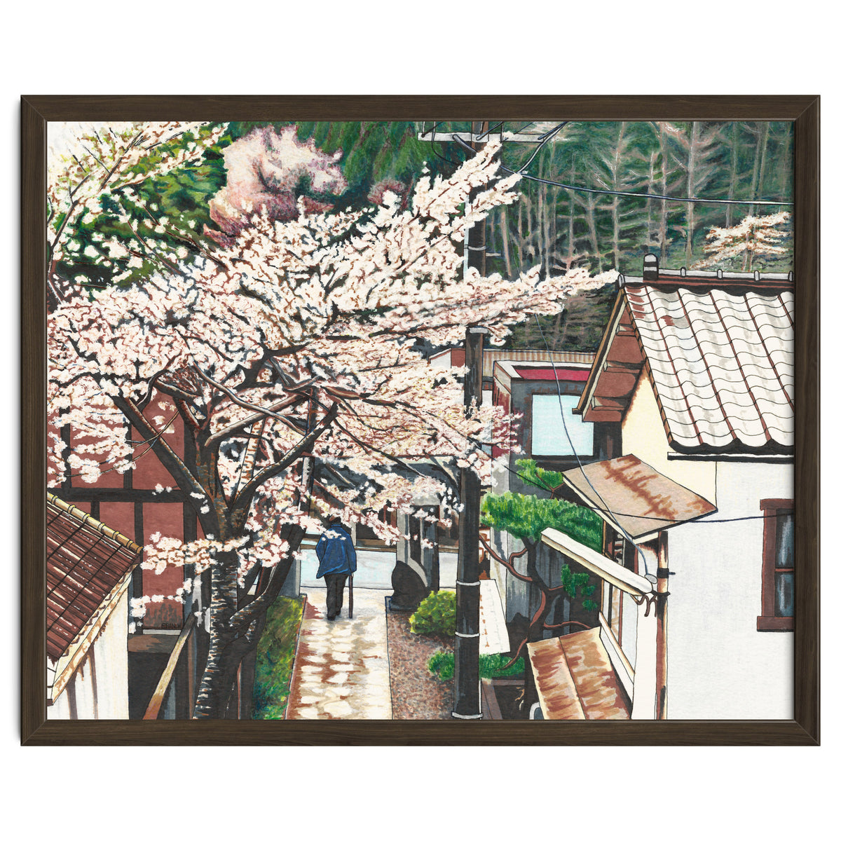 Passing by Cherry Blossoms