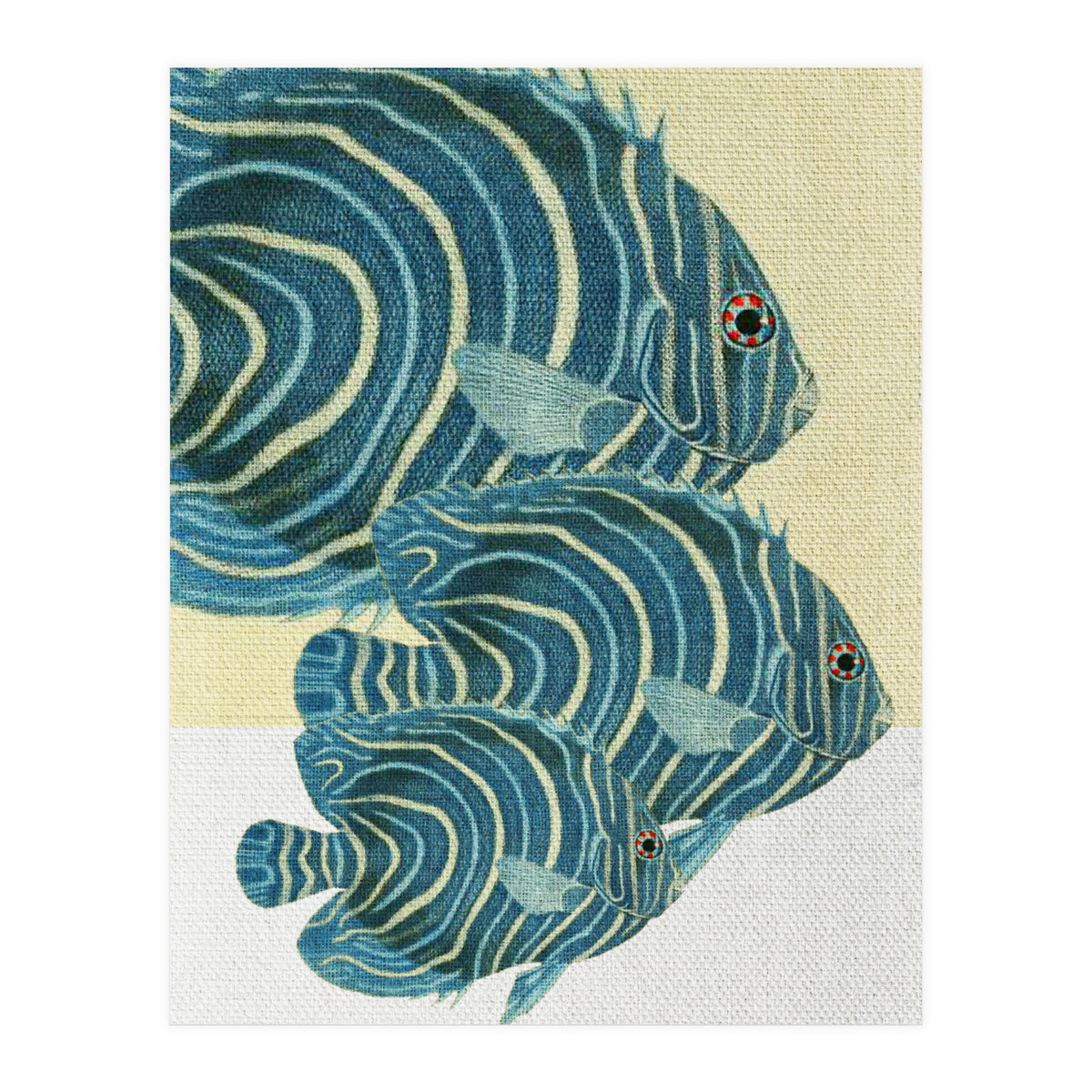 Fish Classic Designs 9 (Print Only)