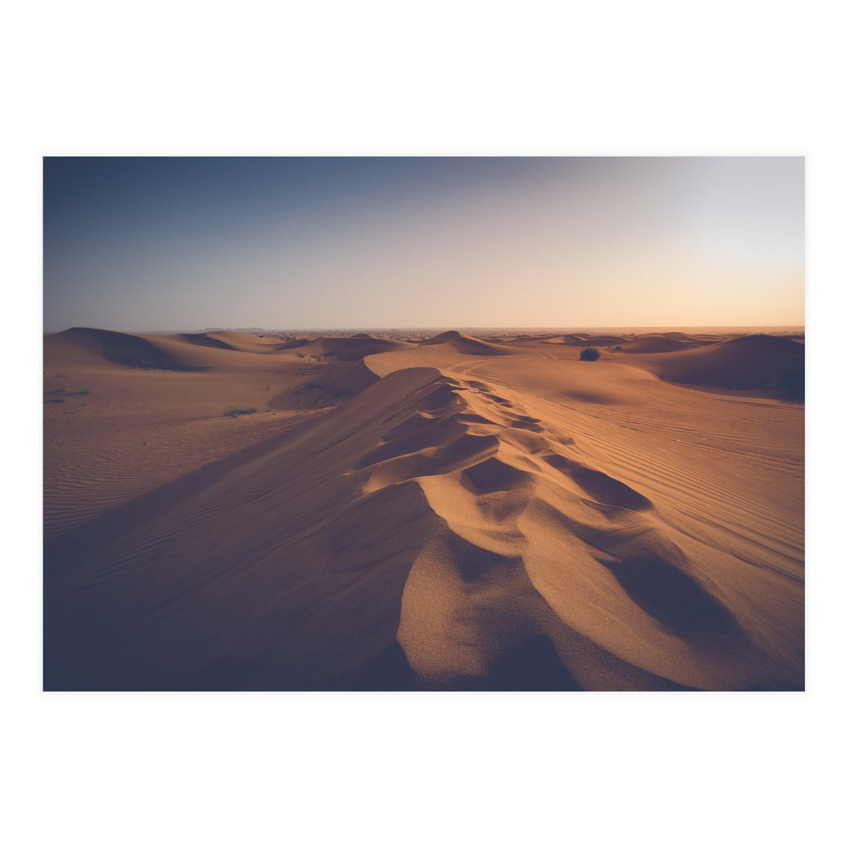 Caramel (Print Only)