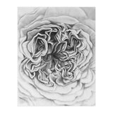 A Rose in Monochrome (Print Only) thumbnail