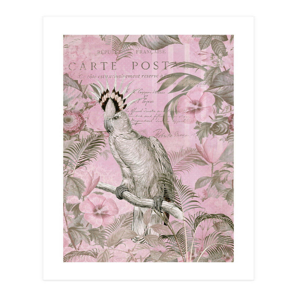 Jungle Cockatoo Pink (Print Only)