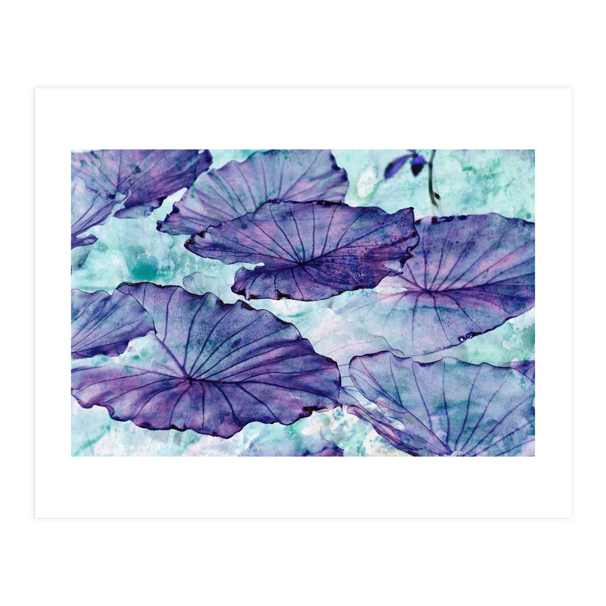 Botanical Surrealism (Print Only)