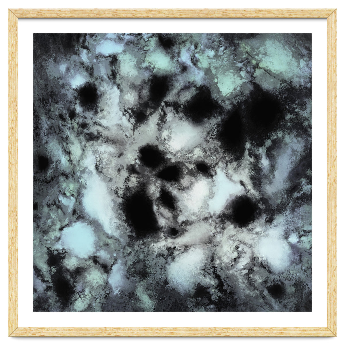 Searching For Animal Tracks