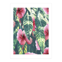 Wild Hibiscus (Print Only)