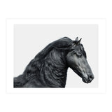 Friesian Horse (Print Only) thumbnail