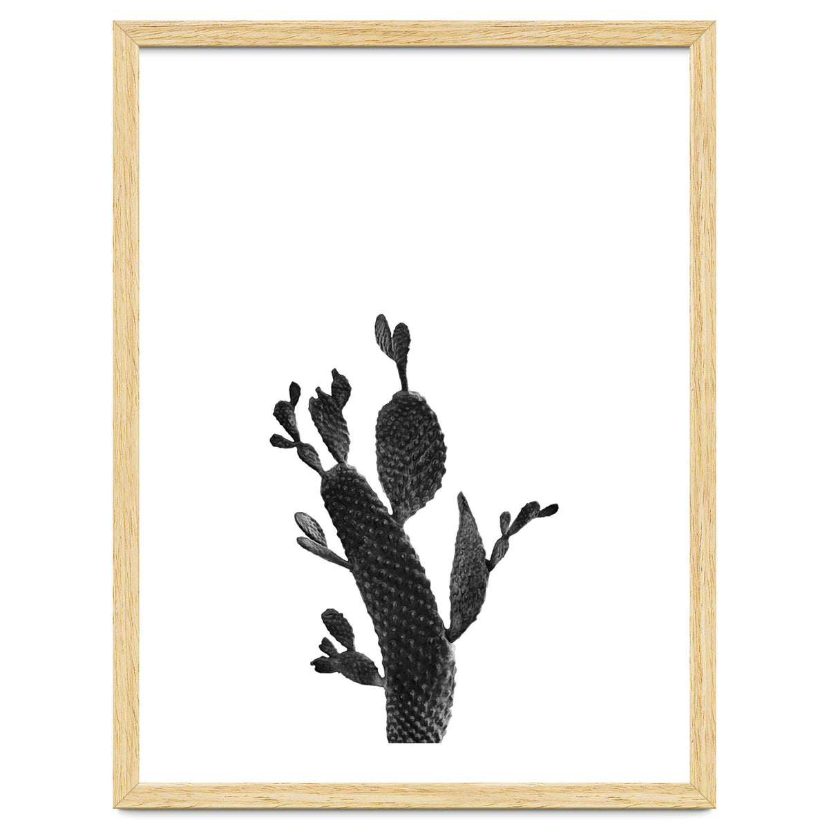 Cactus Black And White 02