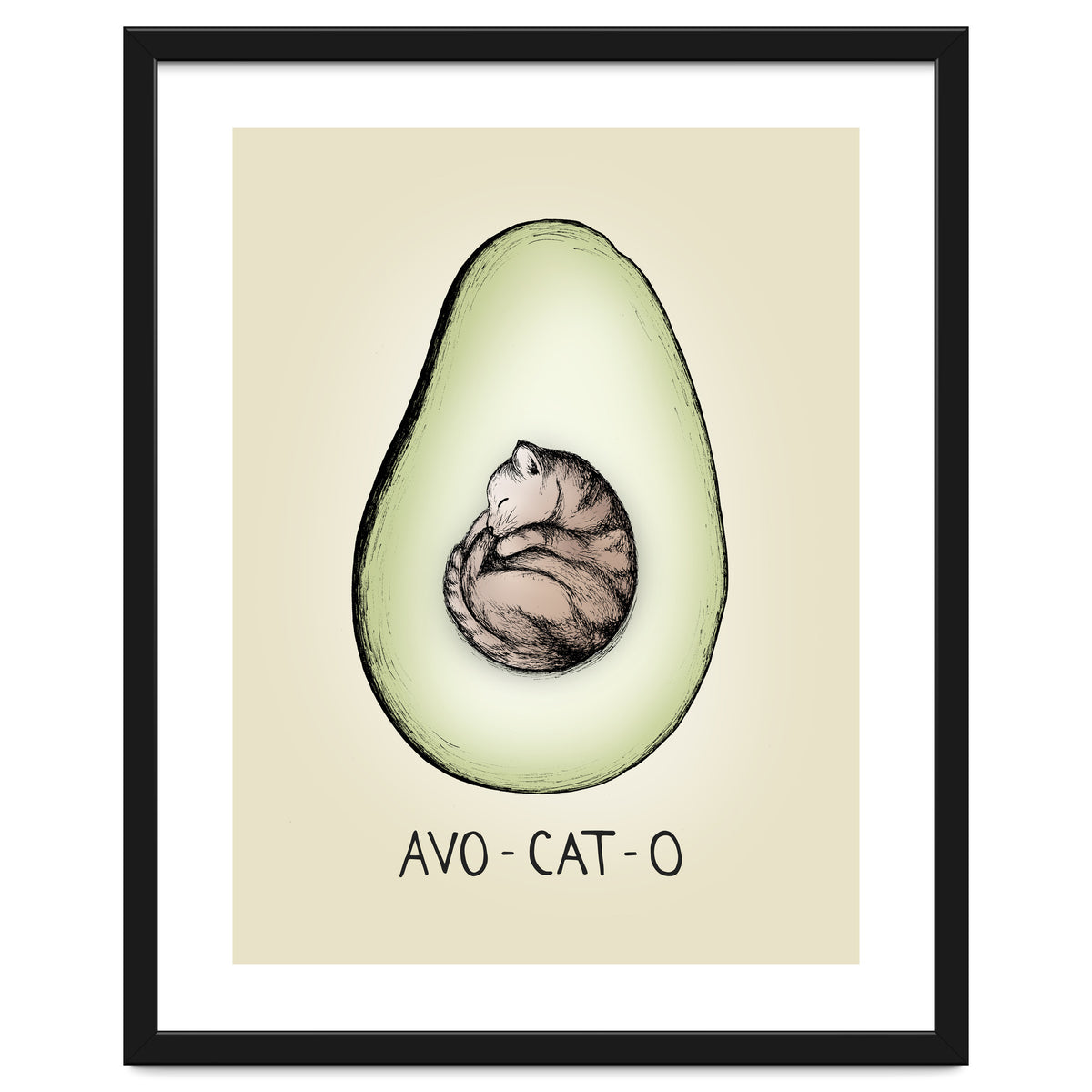 Avo-cat-o