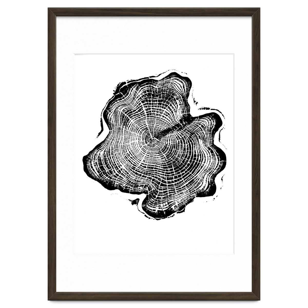 Alaskan Cypress, Tree Ring Art Print, Woodblock