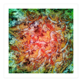 The Beautiful Evidence (Print Only) thumbnail