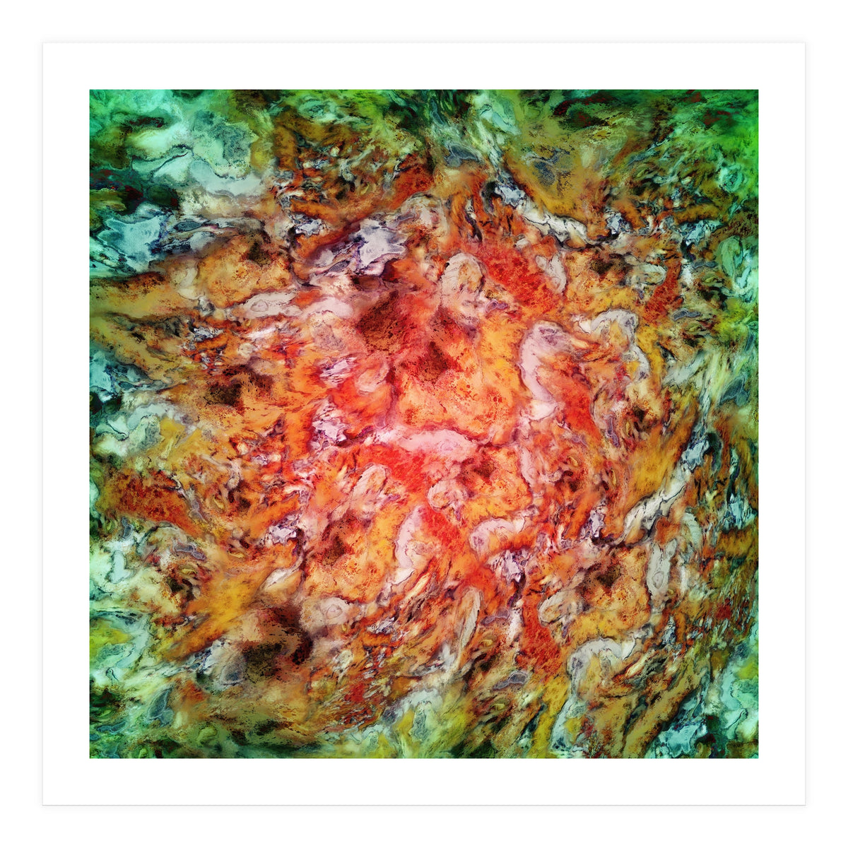 The Beautiful Evidence (Print Only)