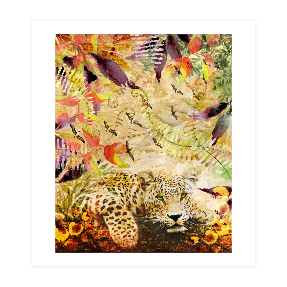 A Life Wild (Print Only)