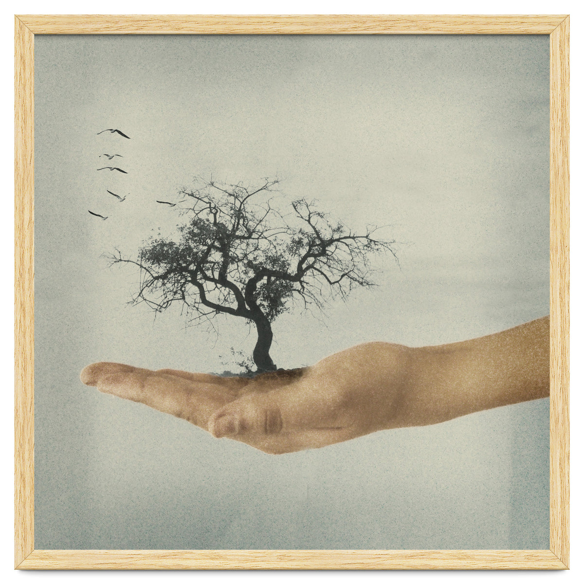 Its All In Your Mind