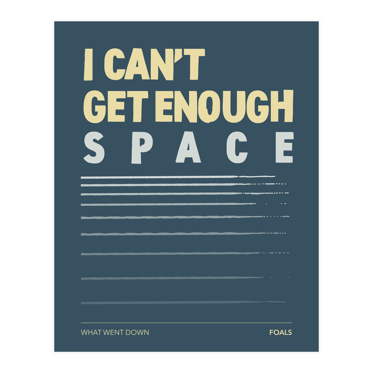 Foals - What Went Down (Print Only)