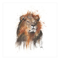 Lion - Wildlife Collection (Print Only)