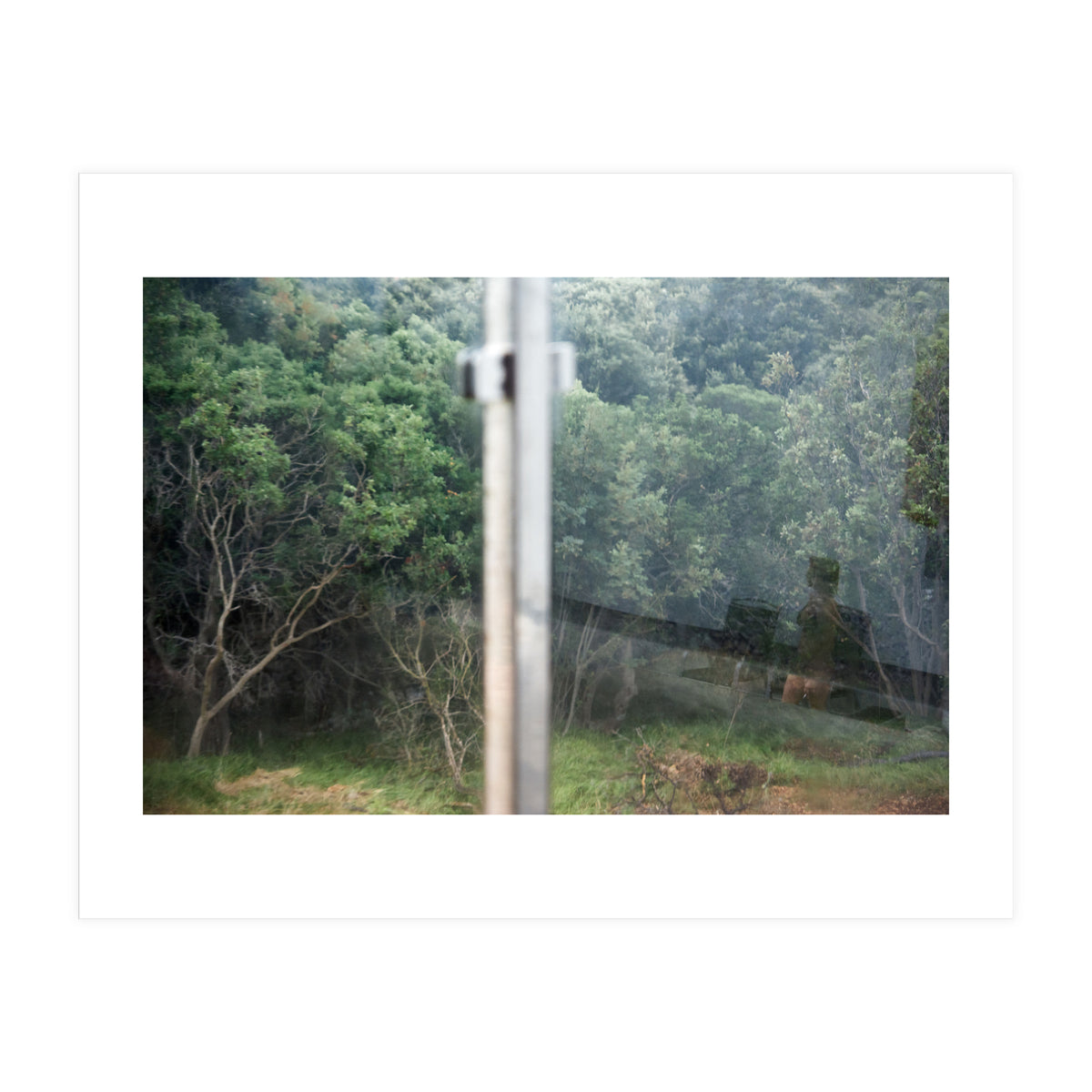 Diary of a Stalker (Print Only)