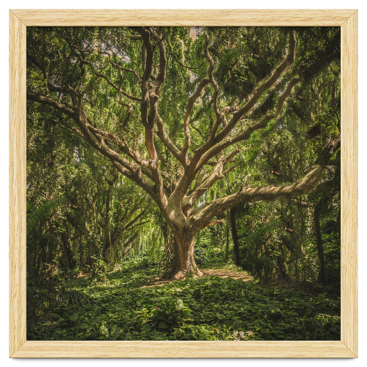 Spirits inside the wood