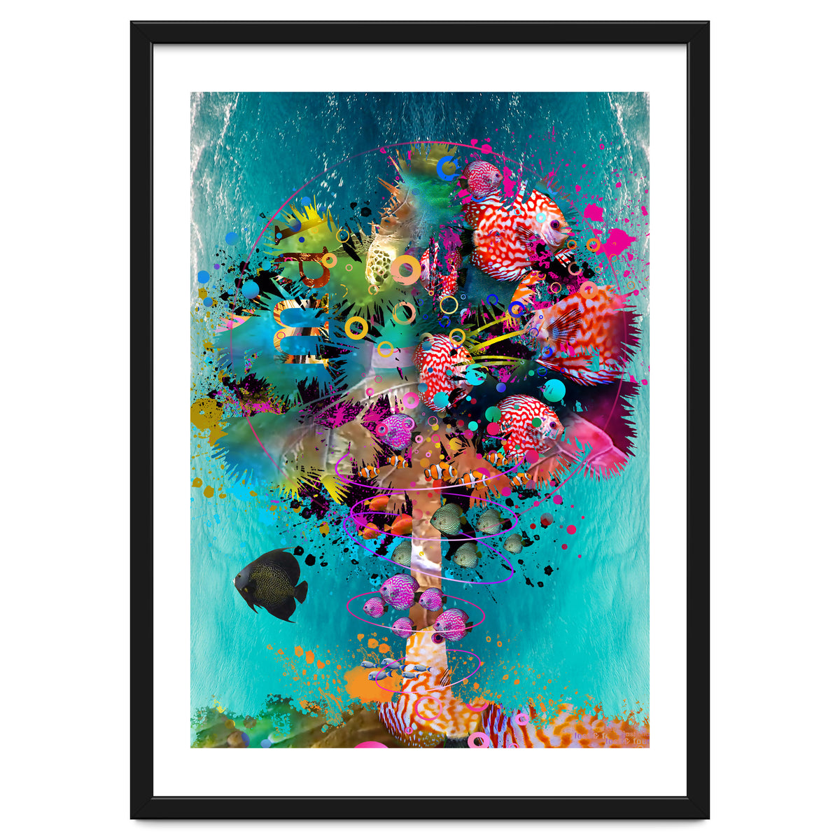 Surf Palm 02 Halfed Large2