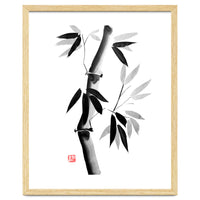 Bamboo 03