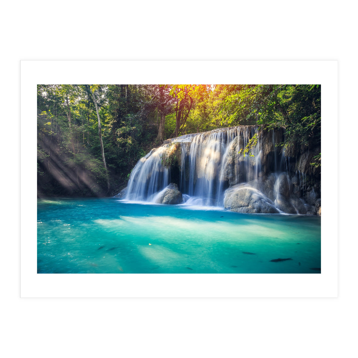 Nature (Print Only)