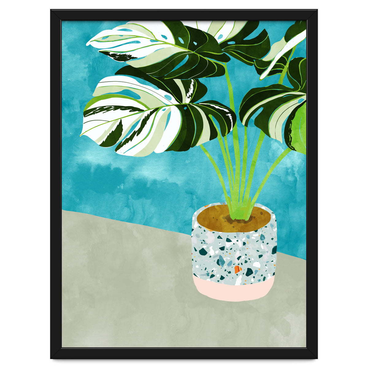 Variegated Monstera