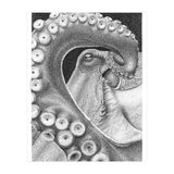 Octopus no. 1 (Print Only) thumbnail