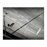 Cyclist (Print Only) thumbnail