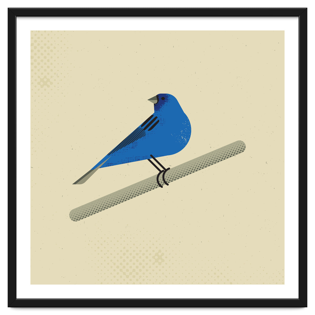 Indigo Bunting
