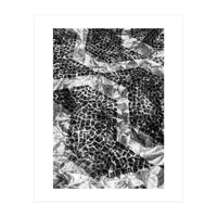 Sampa II (Print Only)