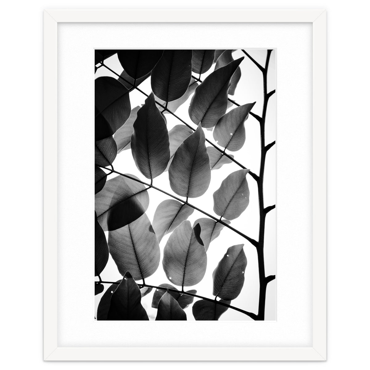 Branches and Leaves II