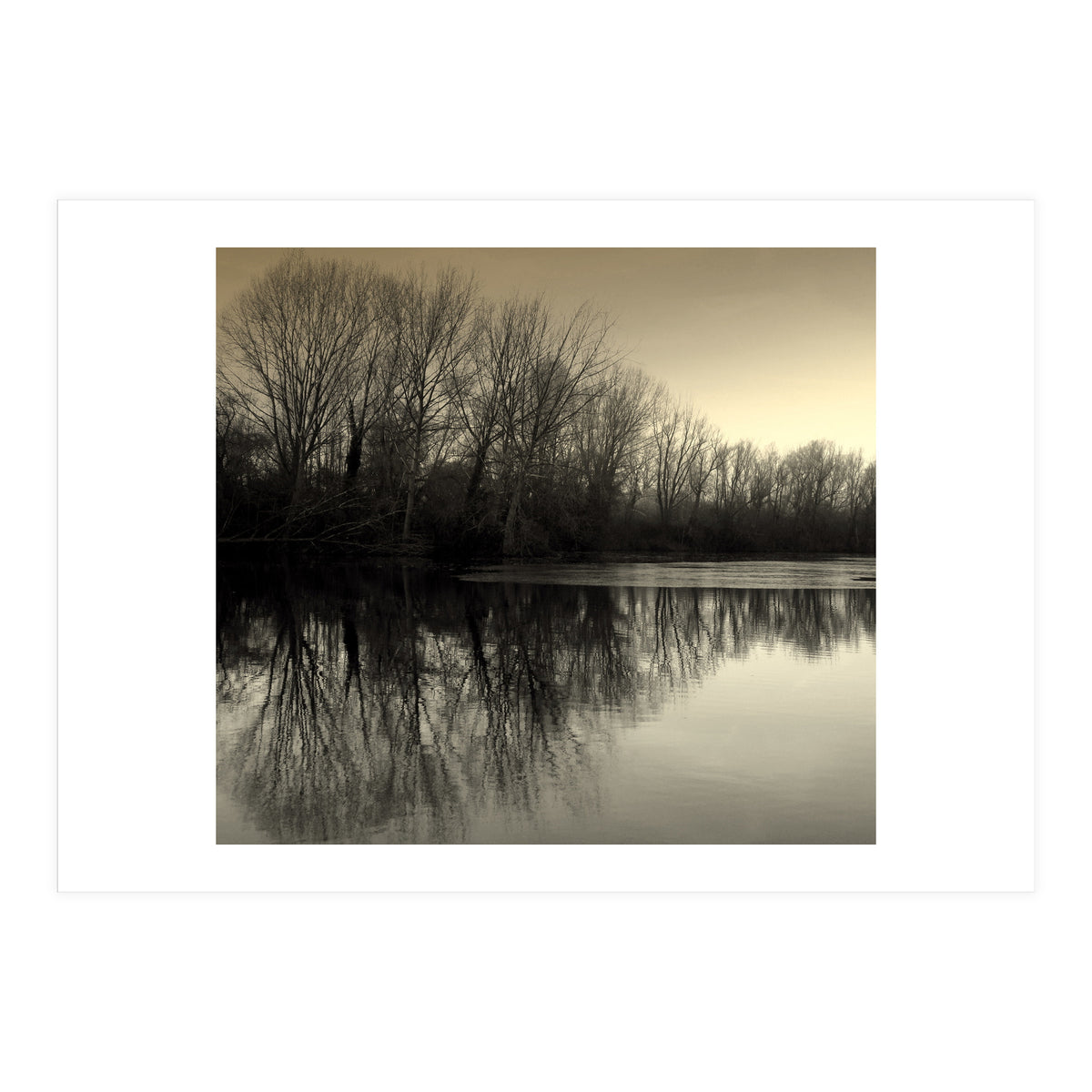 Winter Symettery  (Print Only)