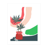 window sill plants (Print Only)