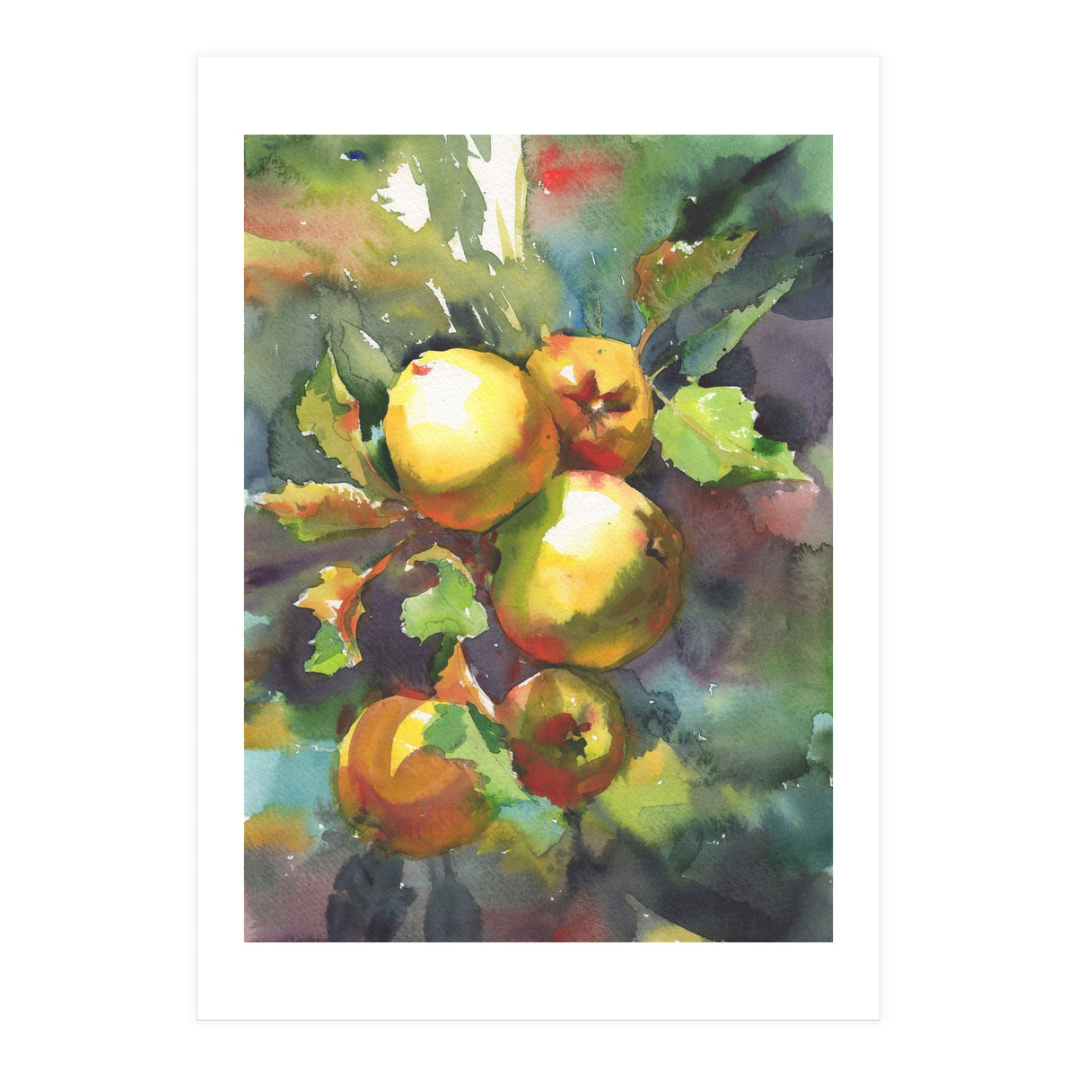 Apples on a branch (Print Only)