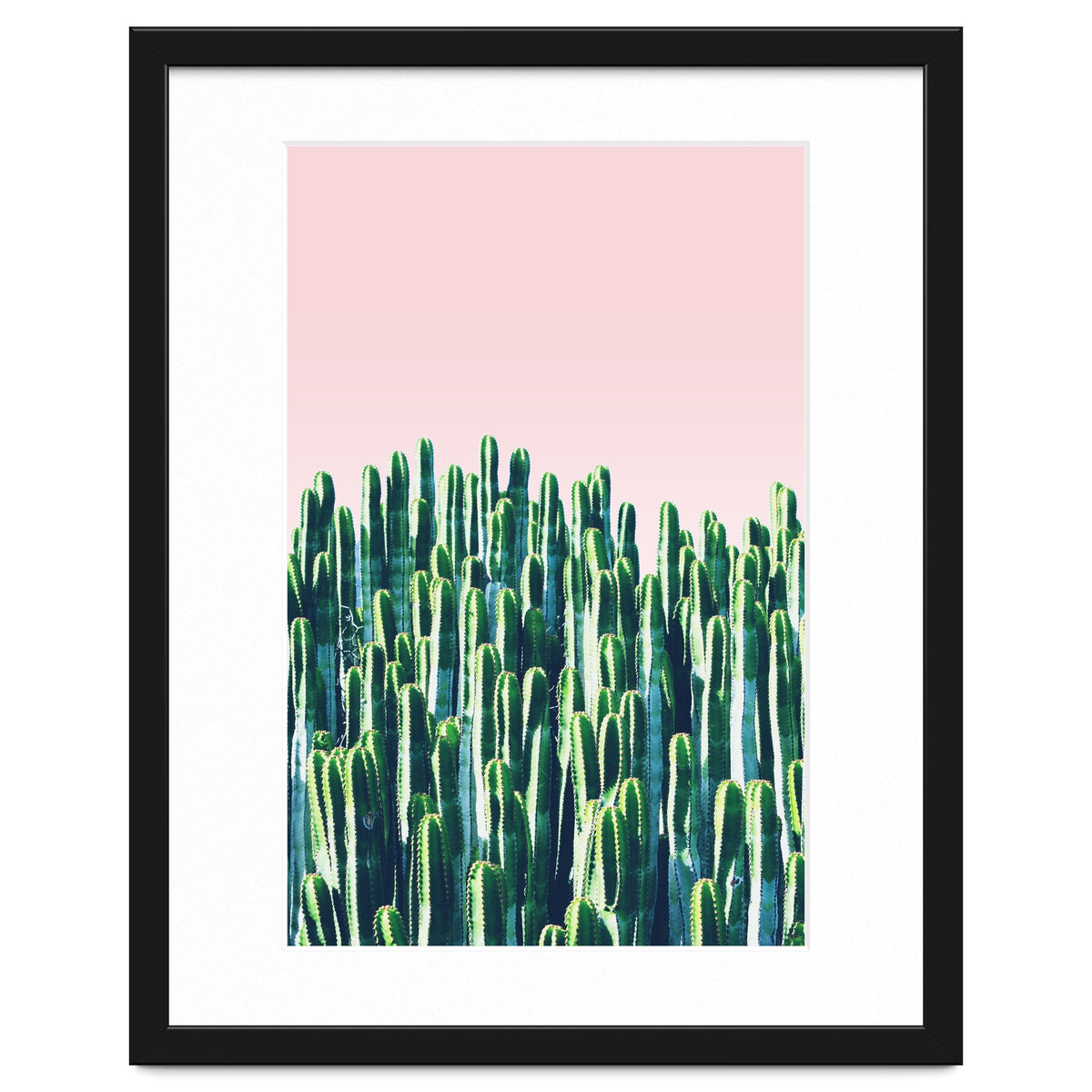 Cactus & Sunset II