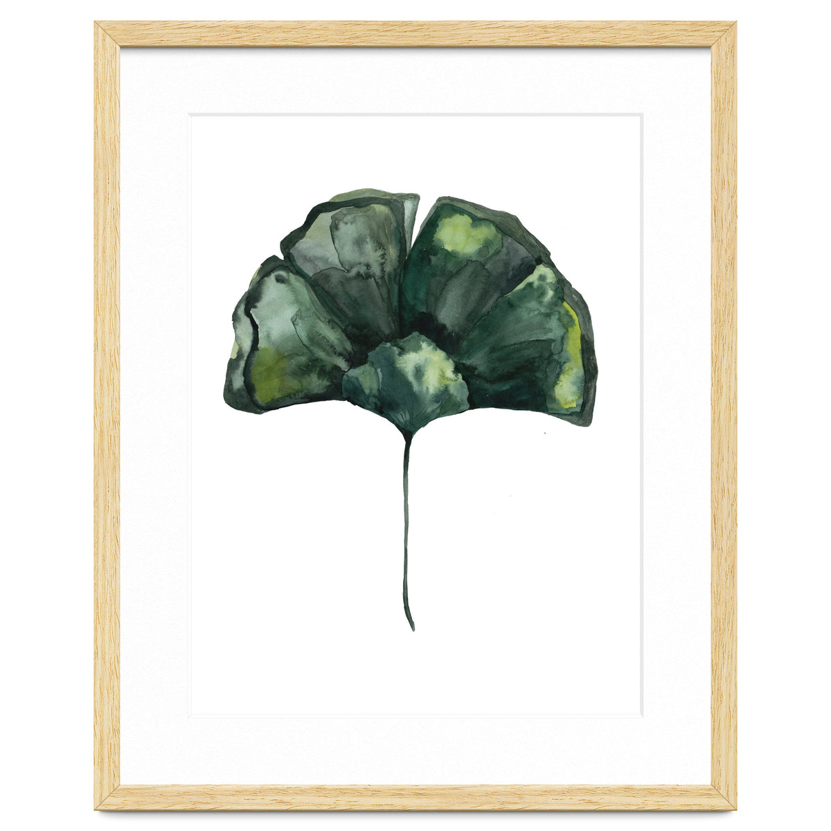Botanical Illustration Ginko