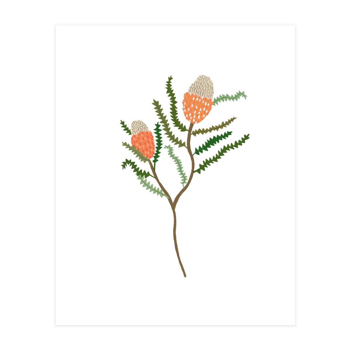 Banksia Flowers (Print Only)
