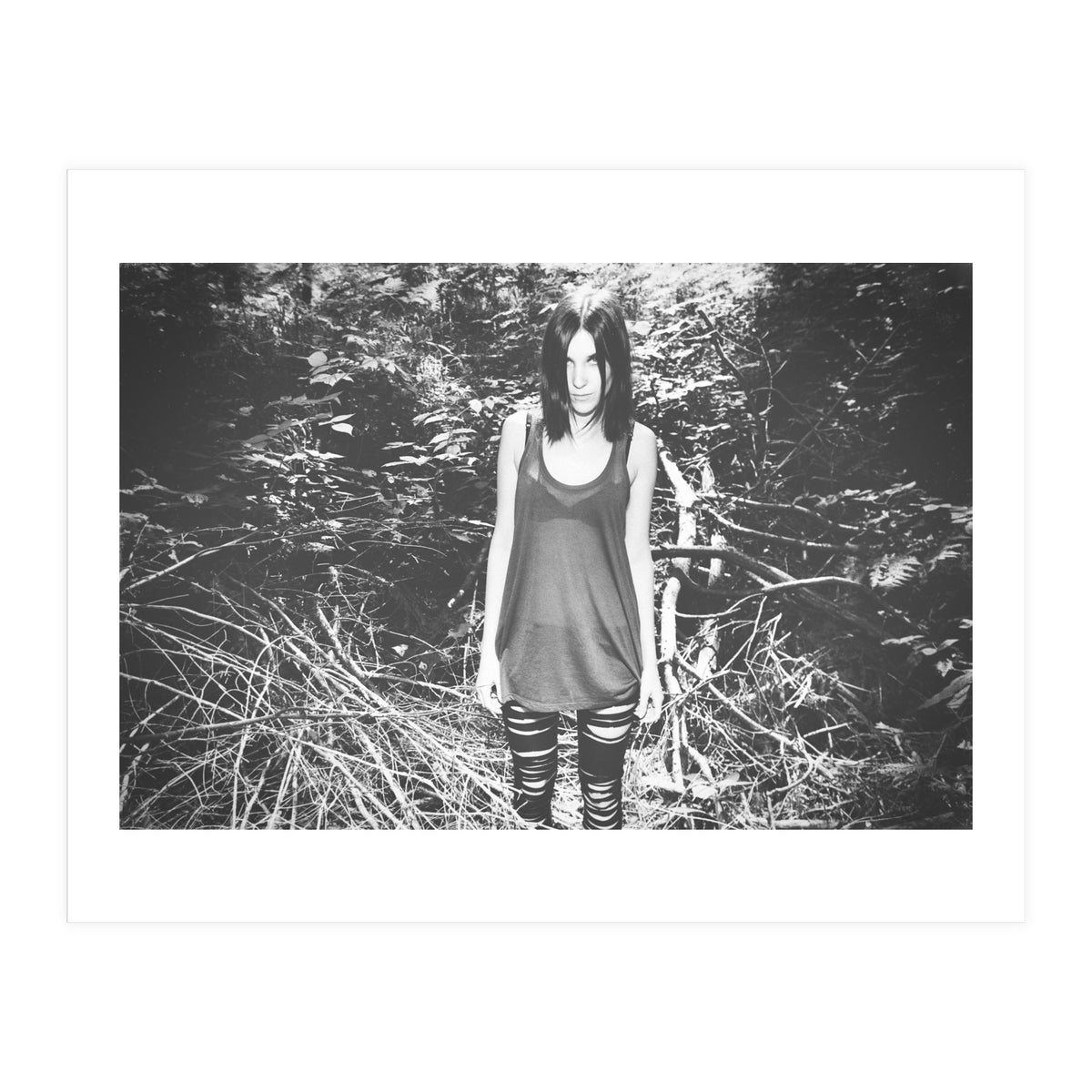 Camouflaged Animals (Print Only)