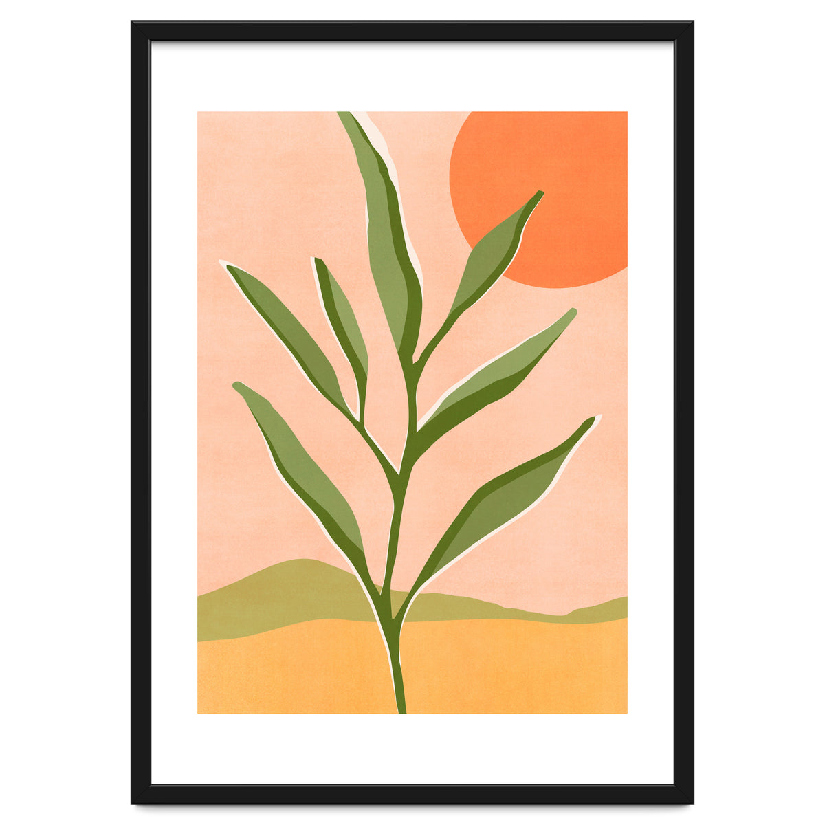 The Sun and The Succulent