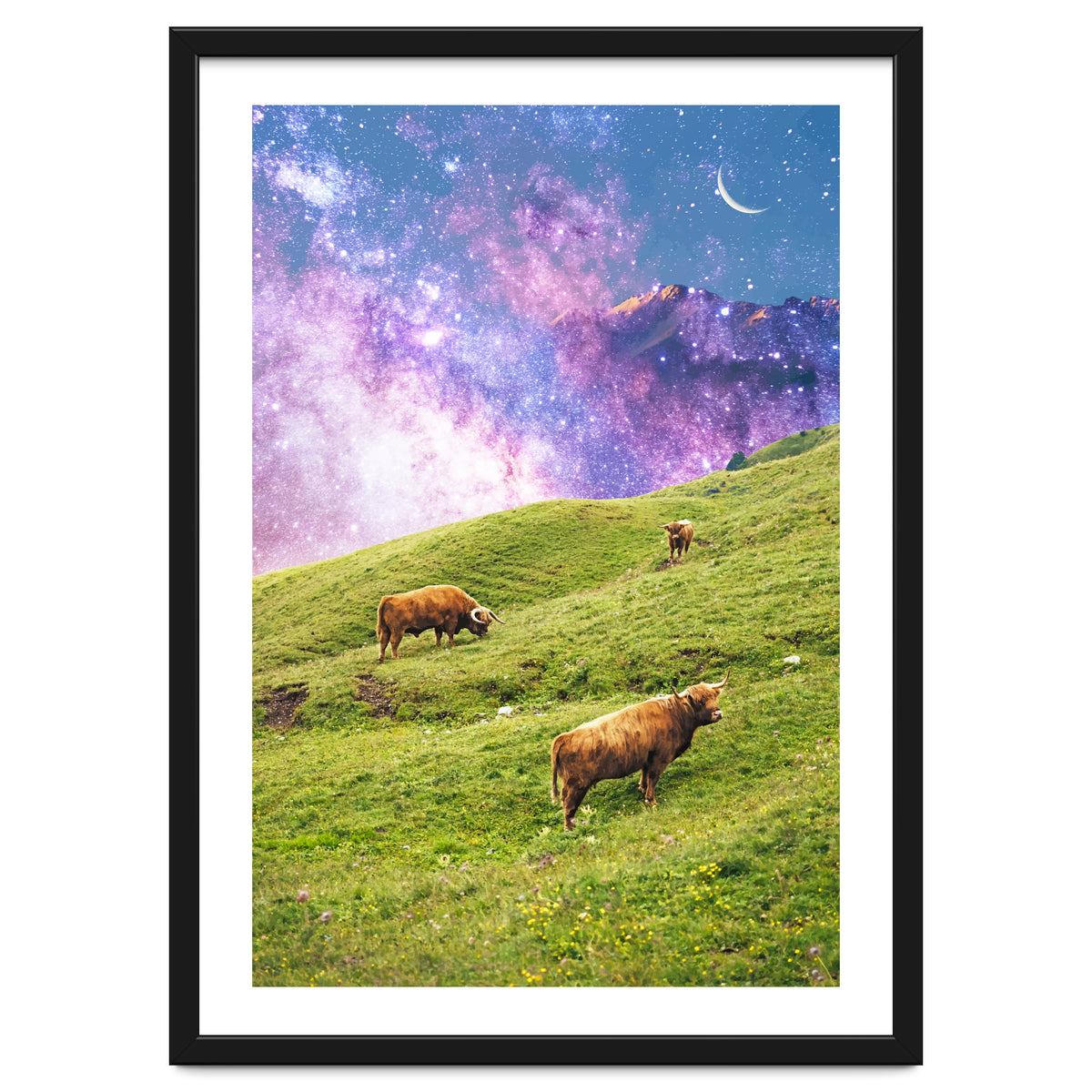 Space Cow Series II