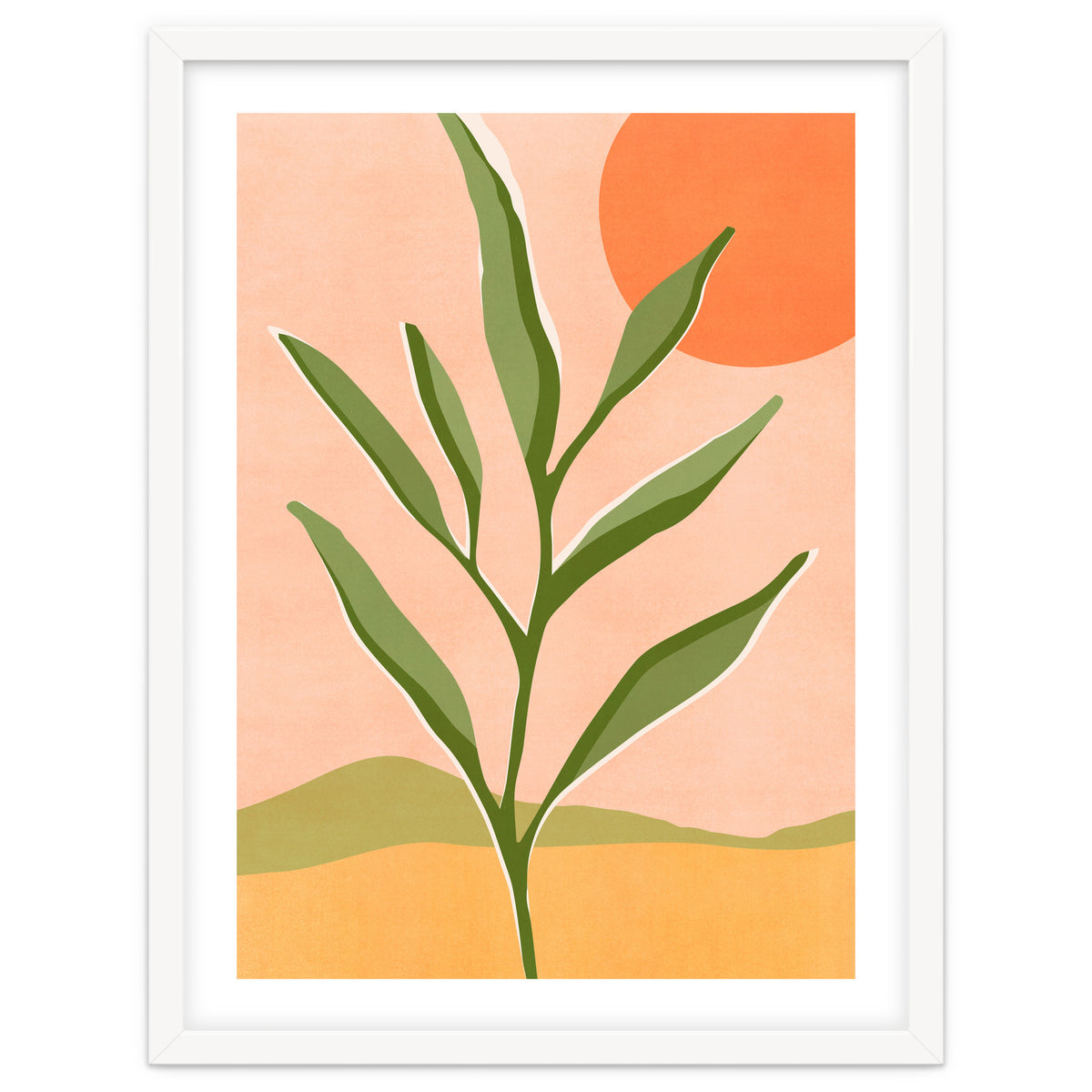 The Sun and The Succulent