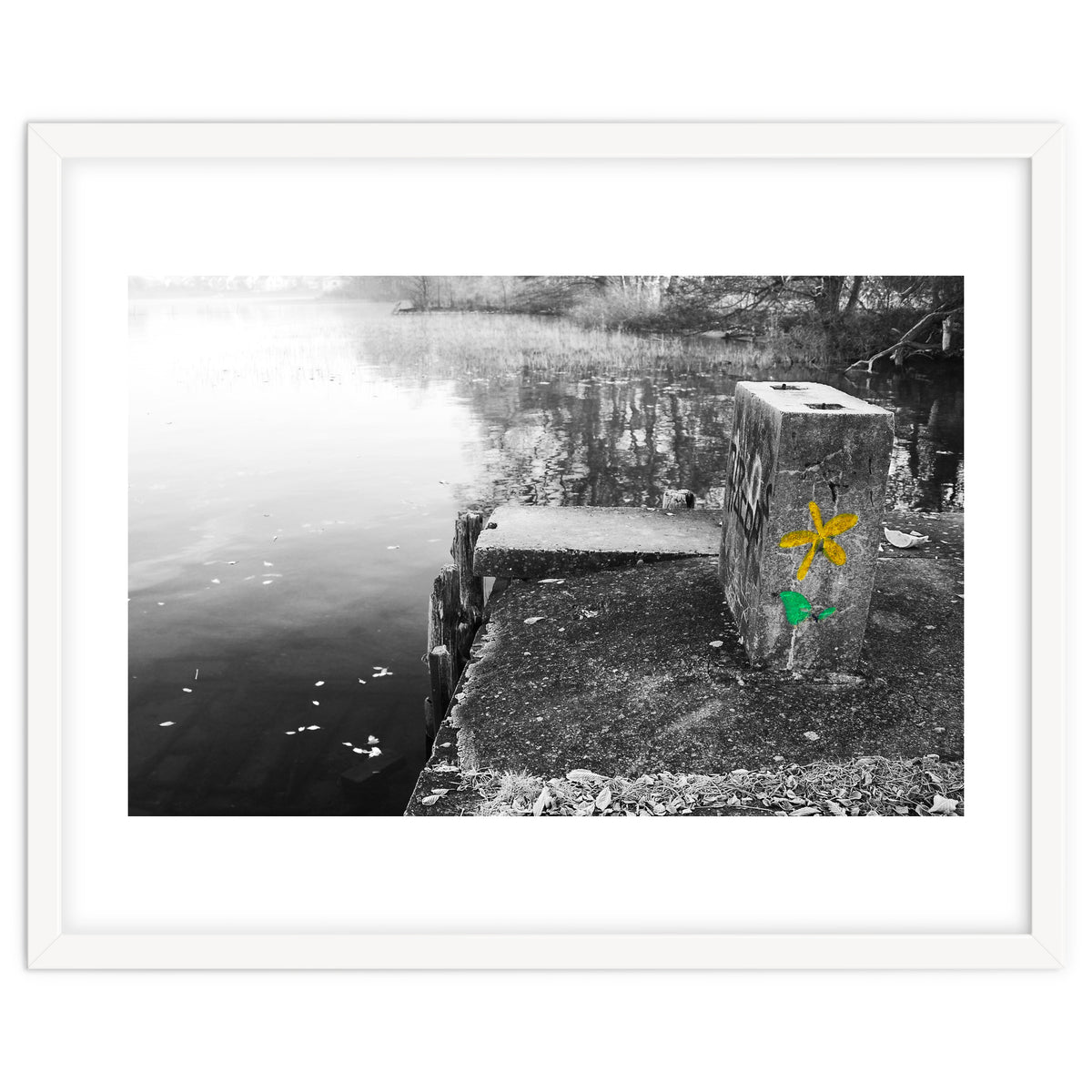 Frozen Ground Yellow Flower Street Art