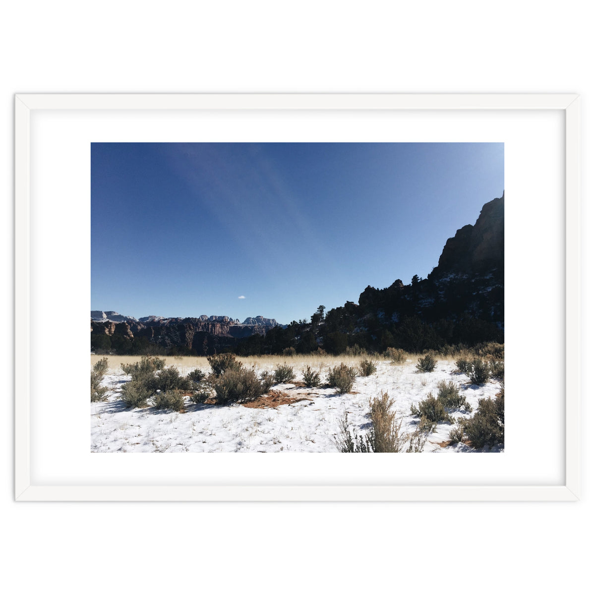 Zion National Park II