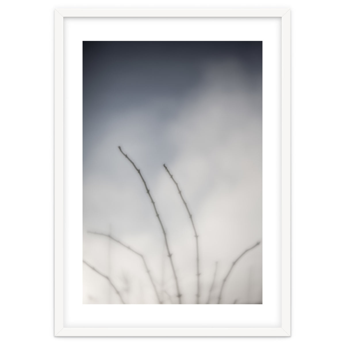 Forgotten Memories of summer #18