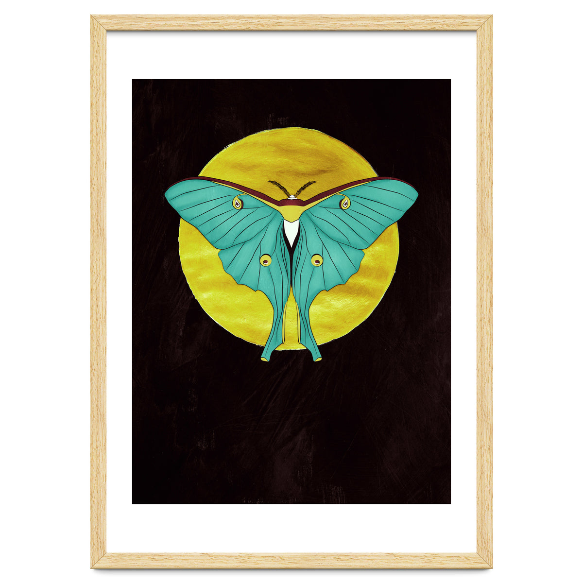 Luna Moth Moon