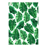 Taro (Print Only) thumbnail