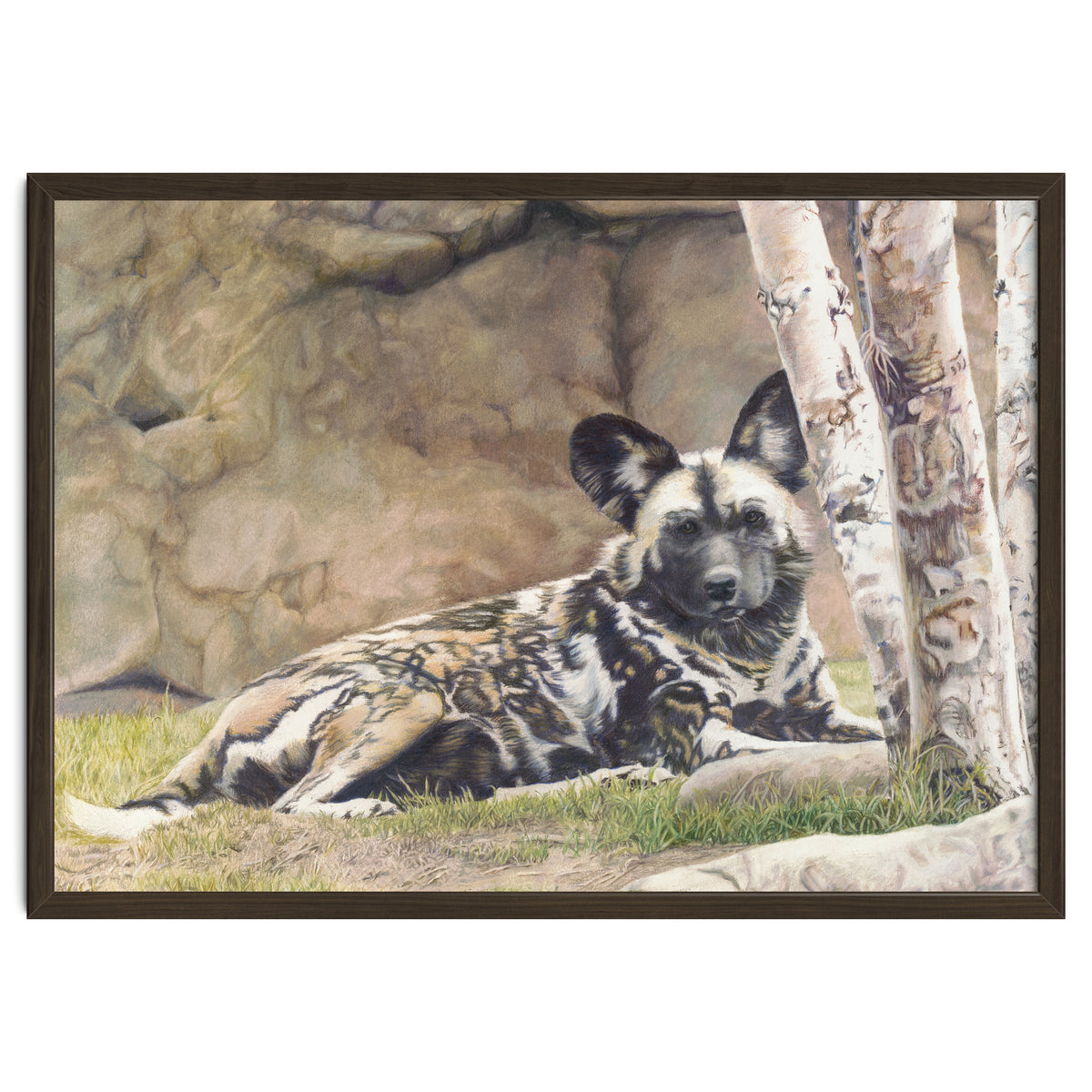 Afican Painted Dog IV - Imara