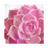 Rough Beauty 4 (Print Only) thumbnail