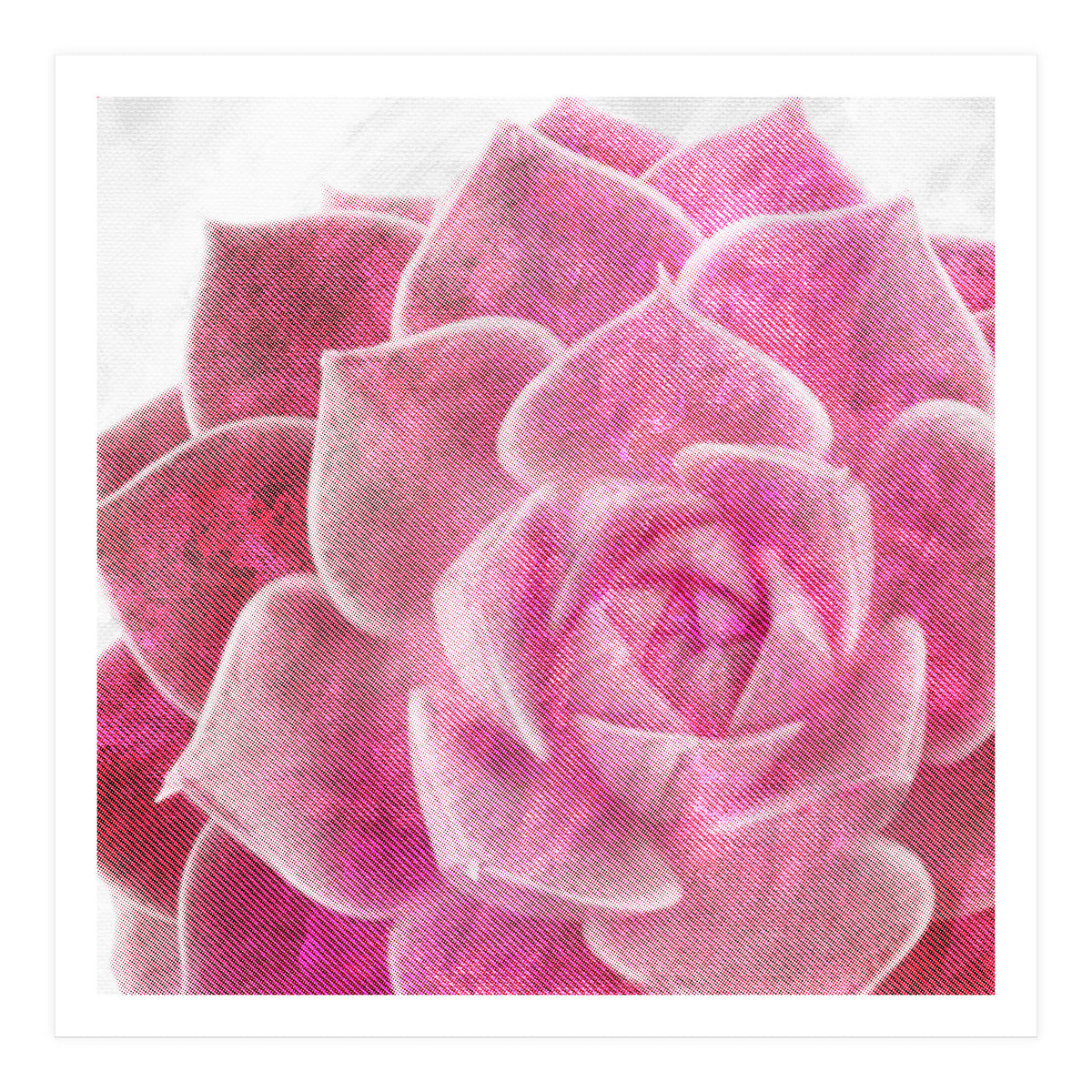 Rough Beauty 4 (Print Only)