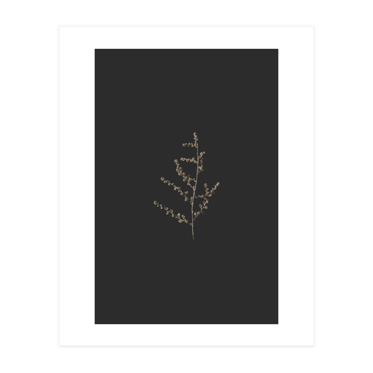 Dainty Botanicals in Gold and Black (Print Only)