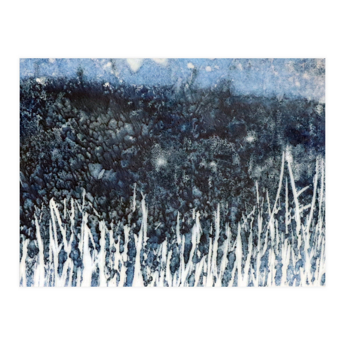 Meadow in the night (Print Only)