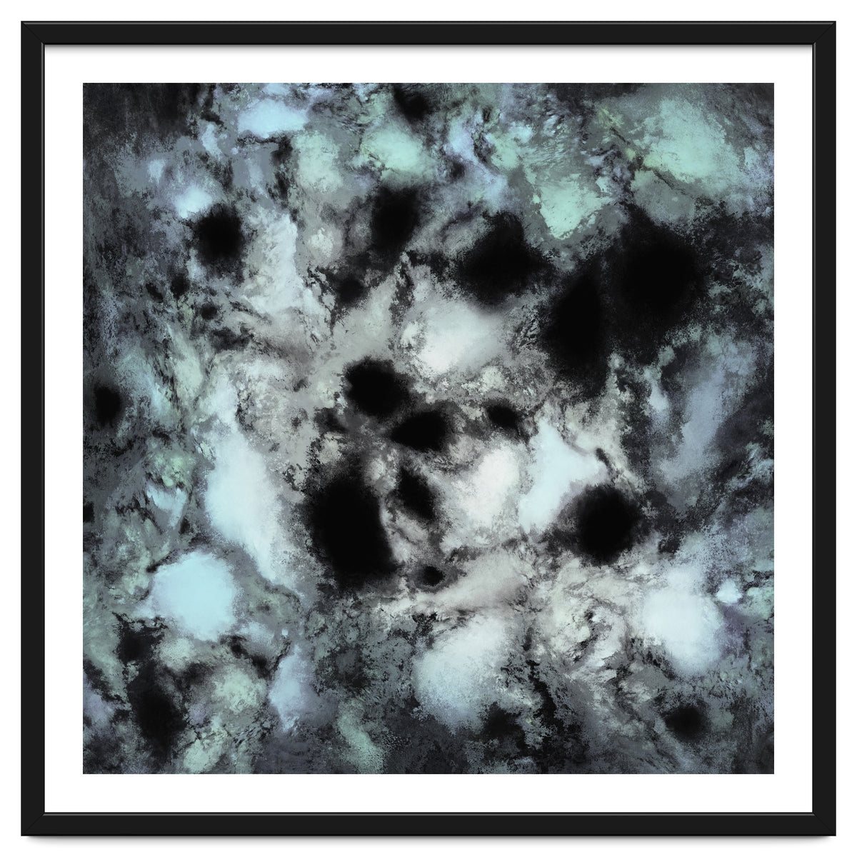 Searching For Animal Tracks